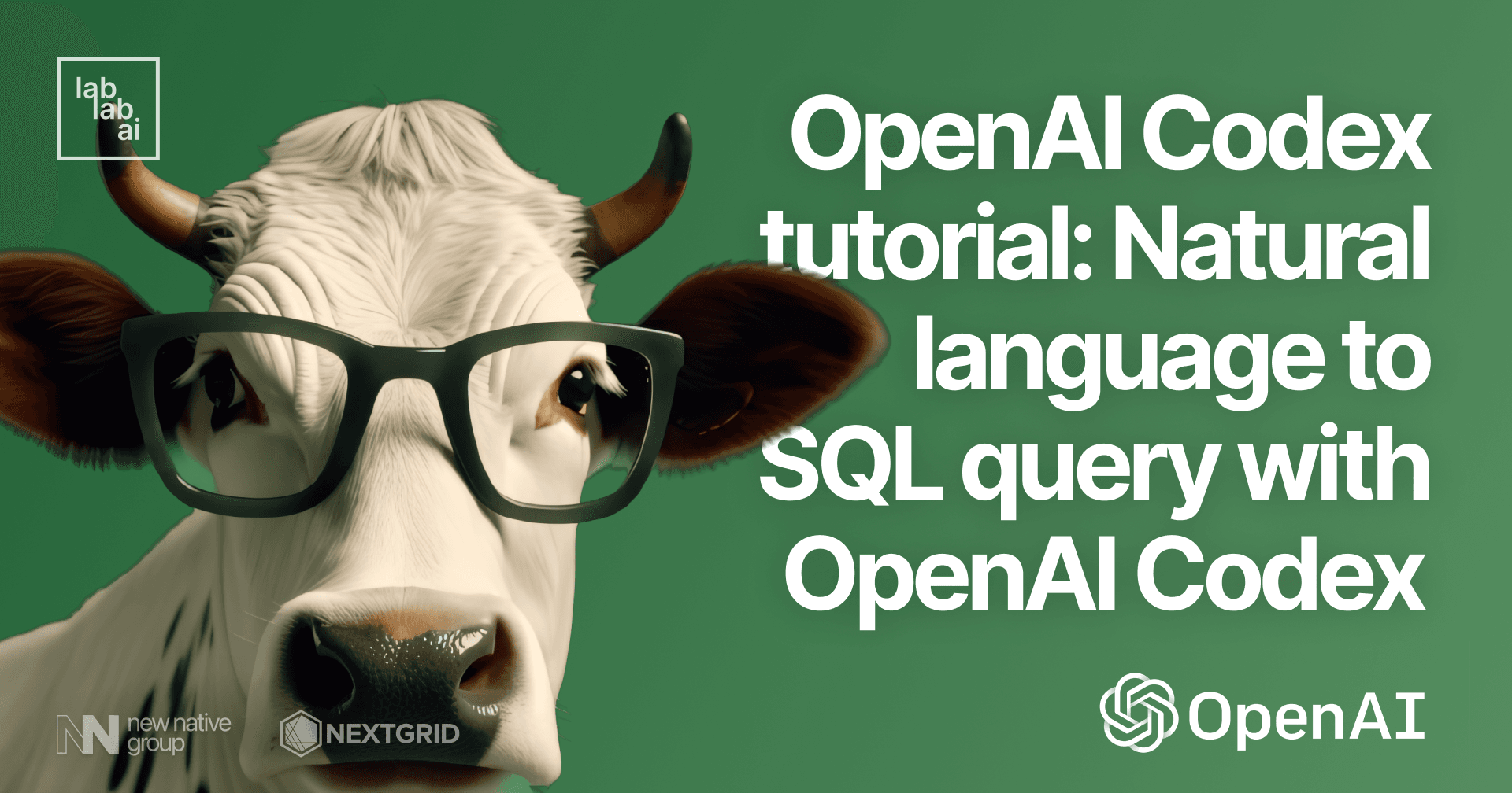 OpenAI Codex tutorial: Natural language to SQL query with OpenAI Codex